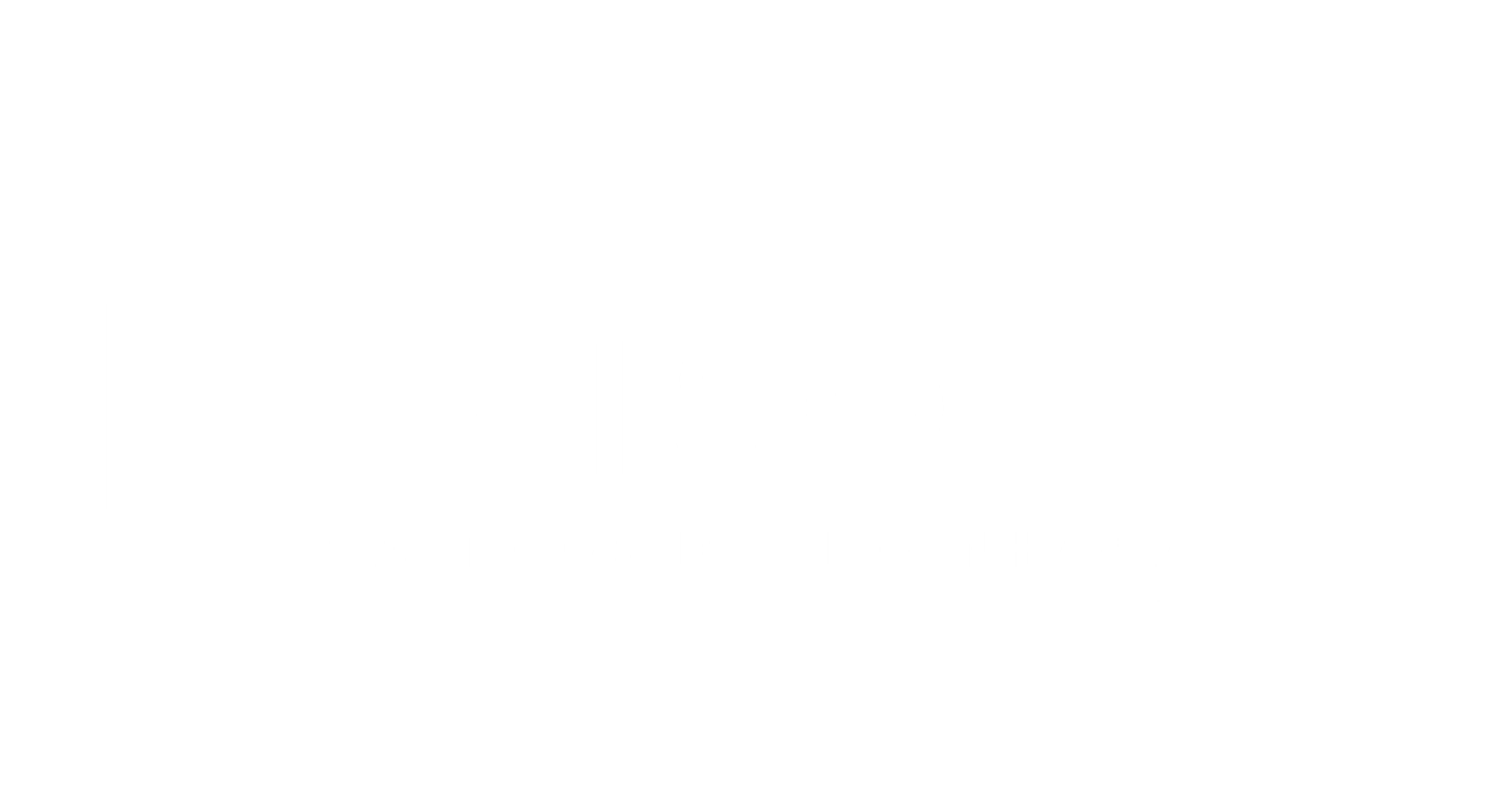 Logotipo Krisoll - Branco PNG